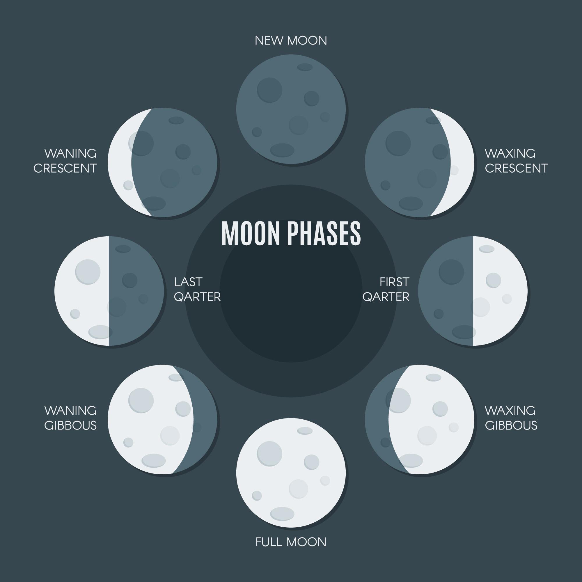 Complete infographic of the Phases of the Moon - New Moon, Waxing Crescent, First Quarter, Waxing Gibbous, Full Moon, Waning Gibbous, Last Quarter, and Waning Crescent